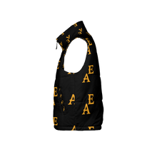 Load image into Gallery viewer, TEMPERATE TIMES (Men's Full-Zip Warm Sleeveless Winter Vest)