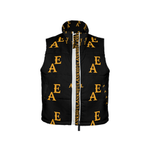Load image into Gallery viewer, TEMPERATE TIMES  (Men&#39;s Full-Zip Warm Sleeveless Winter Vest)
