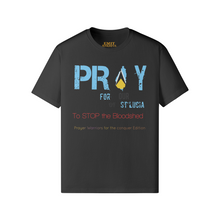 Load image into Gallery viewer, PRAYERFUL (Unisex Lightweight Classic T-shirt)
